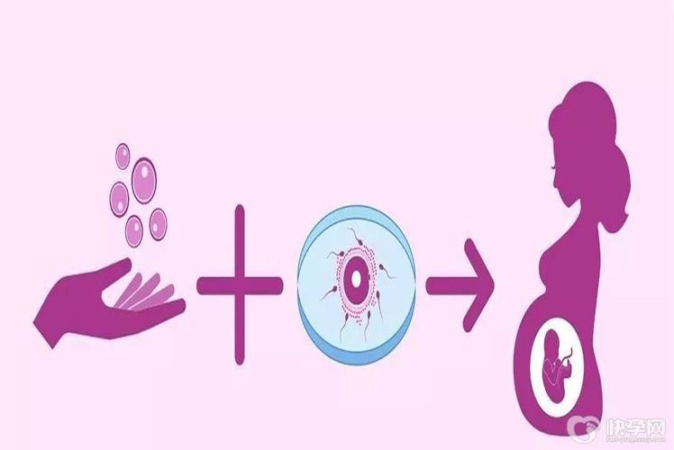 借卵试管代怀信息(借卵试管代怀:一种新的生育选择方式)
