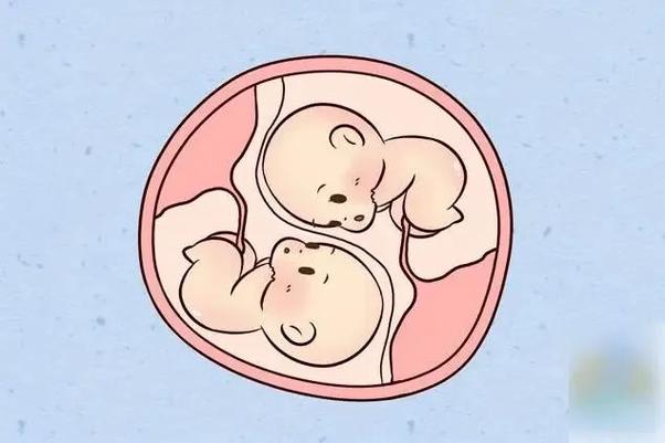 2024借卵代怀孩子_2024年:借卵代怀,新生命的奇迹