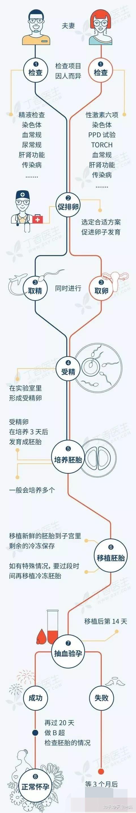 借卵生子是什么意思_借卵生子的含义是什么?