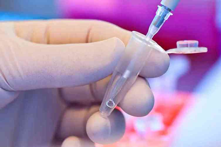 国内供卵试管代怀明细(国内供卵试管代怀服务详解)