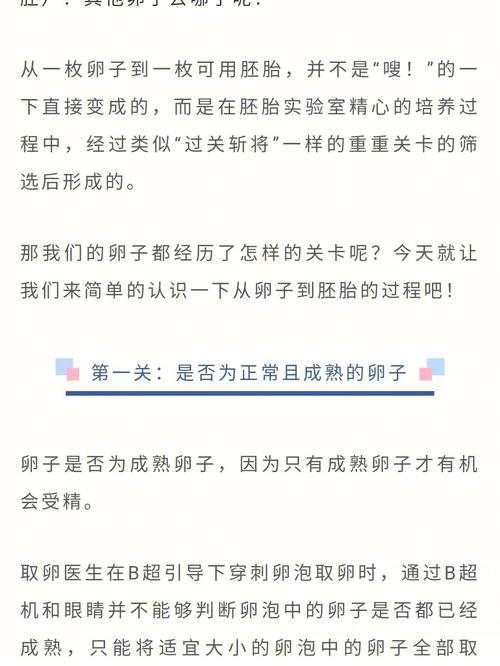 借卵试管代怀_借卵试管代怀:新生命的温暖之路
