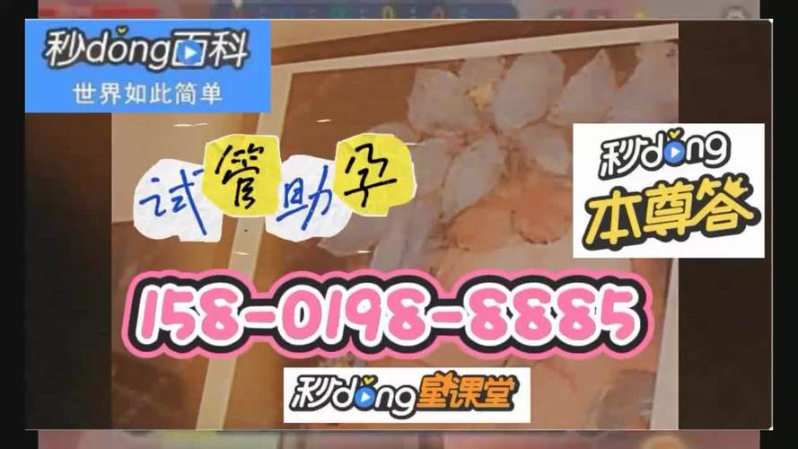 国内供卵试管代怀双胞胎【国内供卵试管代怀双胞胎：实现双胞胎梦想的最佳选择】