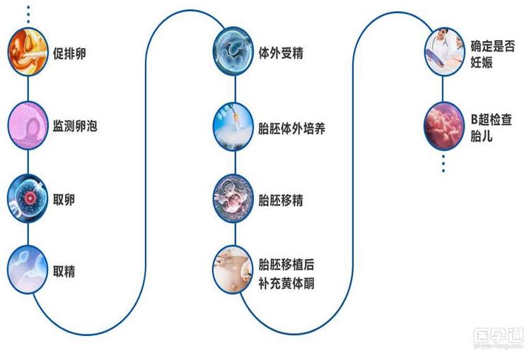 借卵试管代怀产子(借卵试管代怀产子：新生命的奇迹)