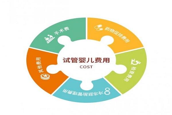 代生小孩包成功多少费用_代生小孩包成功需要多少费用？